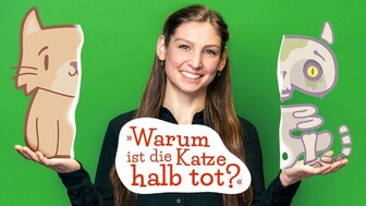 Frau mit zwei gezeichneten Katzenfiguren und Sprechblase: Warum ist die Katze halb tot?